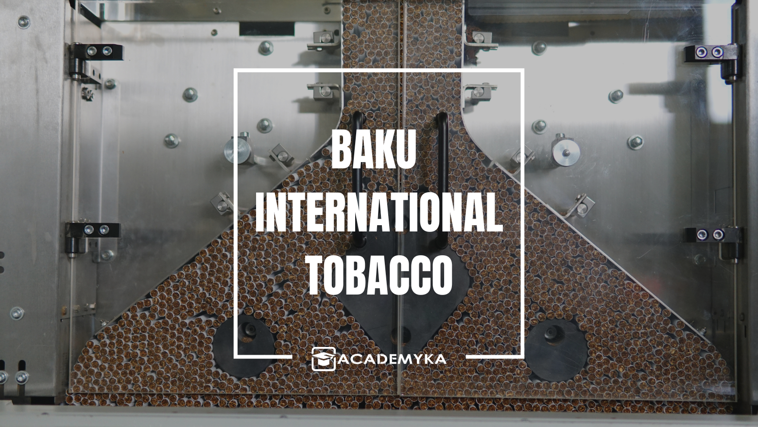 Baku International Tobacco ERP Implementation by Academyka